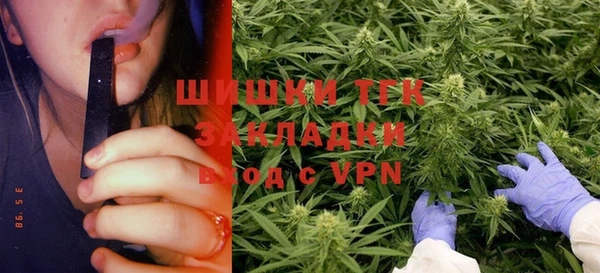 сатива Медвежьегорск